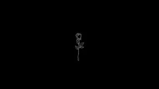 BLACK THEME EDIT (COMMA$ - Curtis Roach) ft. Whyandotte