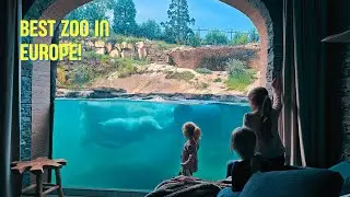 Sleep with POLAR BEAR || Pairi Daiza Zoo || Belgium