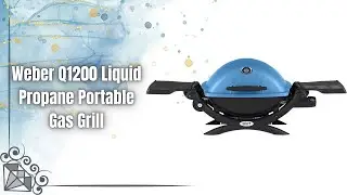 Weber Q1200 Portable Gas Grill Review | Best Portable Propane Grill?