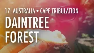 17. Australia &middot; Cape Tribulation - Daintree Forest