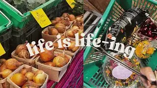 2026 Reset: Life is life-ing, deep cleaning, nutrition reset, feeling grateful