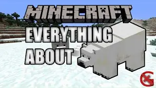 Everything about Polar Bears in Minecraft