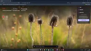 BRAVE Browser &ndash; Show Bookmarks Bar कैसे ऑन करें