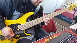 Natural Born Killer - Avenged Sevenfold Bass Cover