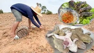 Finding Frogs in the Ripe field season - Frying with recipe by Countryside Chef