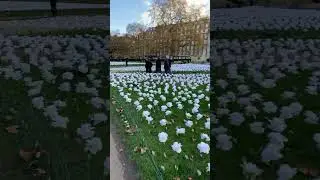 Ever After Garden - Grosvenor Square - London 2023