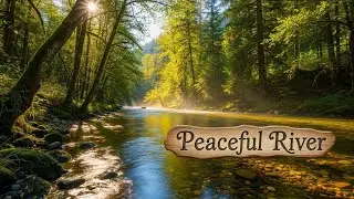 Gentle River Ambience for Insomnia Relief and Peaceful Restful Deep Sleep | 24/7