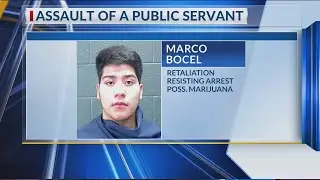 Teen charged with assault of public servant after kicking officer while being arrested