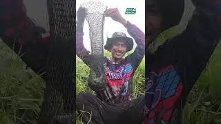 Mebuat Racikan Umpan Dan Ternyata Gacor. Dapat Ikan Belanak, Nila, Baronang, dan Ikan Bandeng🔥😱