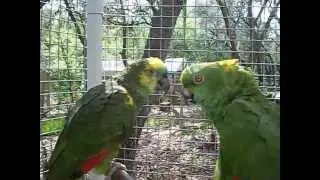 Zaksee Bird Sanctuary