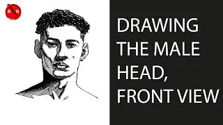 Drawing The Male Head In Front View