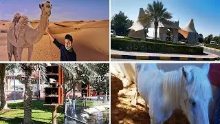 Sharjah Desert Park | Zoo |Sharjah Zoo | UAE | Sharjah | Zoo Of UAE