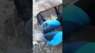 Cleaning the beach with a scoop from glass