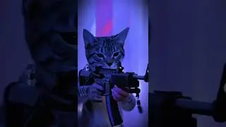 The ending is too intense! #batcat #batman #cat