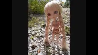 [Photoshoot Pullip n&deg;7] Alice dans la Drome