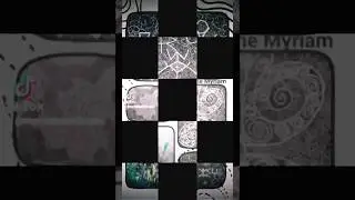 Le droit de garder son identit&eacute; int&eacute;grale #art #reels #shortsvideo#kaleidoscope#conscience #vivre