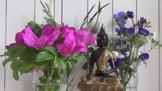 Uffe Damborg- R&oslash;sn&aelig;s Vipassana Retreat june 2015