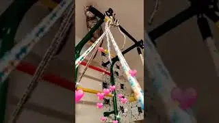 Бусёна скалолазка