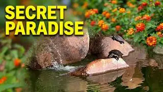 Amazing Nature Walk in Santa Barbara | Alice Keck Park Garden Tour