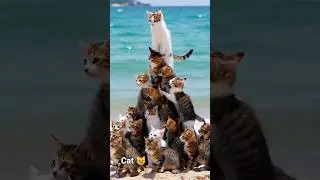 Cute Cat vido #aivideo #cartoon #cat #youtubeshorts #aishorts #anime