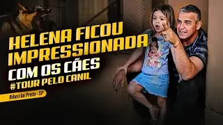 DOGO ARGENTINO &mdash; MAX &mdash; ENCANTO E PRESEN&Ccedil;A NO CANIL