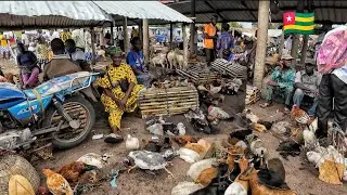 Rural village market day in Glei plateau region of Togo west Africa.