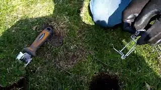 How to Set a Trapline Mole Trap - Step-by-Step Mole Trap Placement Guide