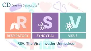 RSV  The Viral Invader Unmasked!