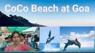 Coco beach at Goa |Goa special Coco beach|dolphin viewpoint at Goa|dolphin viewpoint at Coco beach