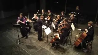 Concerto for clarinet and orchestra, Op. 57 by Carl August Nielsen