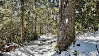 900 Mile Challenge - Big Creek, Low Gap, AT, Camel Gap Loop - Great Smoky Mountain NP