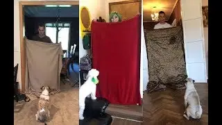 What The Fluff Challenge Funniest Videos Compilation
