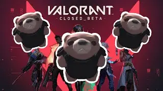 VALORANT All teddy bear locations