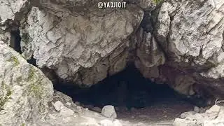 Сюрената 6.04.2025   🎼 Мельница - Лента в волосах