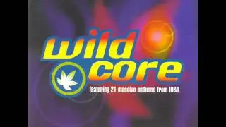 10 mindtrust Ravers Groove Radio Remix
