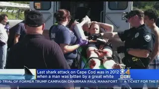 Truro Shark Bite Was First Attack Off Cape Cod Since 2012