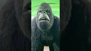 Kaun hai tu 😂 🤣 #shorts