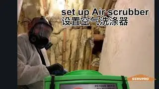 Black mold remediation by SERVPRO of Richmond Hill