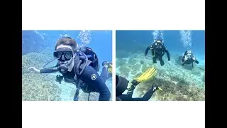 Dive Ref 21054   Comino Caves   2025 06 11   4K