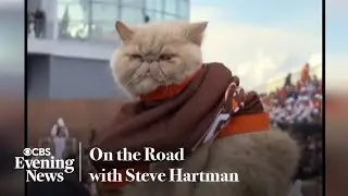 Pudge the cat steals the show at Bowling Green football games