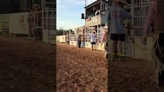 First mini bronc ride