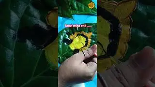 Maa durga betel leaf 🌿 art 😱 please support me 🙏#viralvideo #shorts #leafart