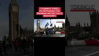 &lsquo;OH MANDY&rsquo; SHADE: Pro-EU Protesters Troll Mandelson with Epic Tune at Westminster!