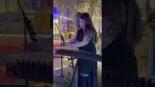 Qanun player - Solo Qanun