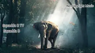 Squadda B | Squadda B TV | No Copyright Music