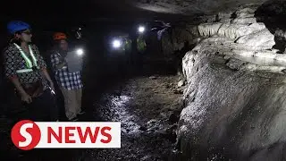 Ancient limestone cave could be lost to buffaloes and vandals