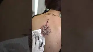 Attractive Lotus Flower Tattoo On Girl Upper Back