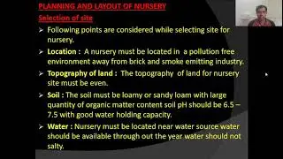 Planning and layout of nursery