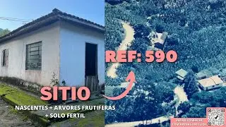 REF. 590, UM MEGA SITIO COM ARVORES FRUTIFERAS E SOLO FERTIL POR R$350.000,00 EM PEDRO DE TOLEDO-SP.