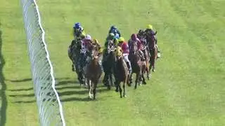 Race 6 PORTERS PLAINLAND HOTEL BENCHMARK 65 HANDICAP 1600M Gatton Wednesday, September 6, 2023